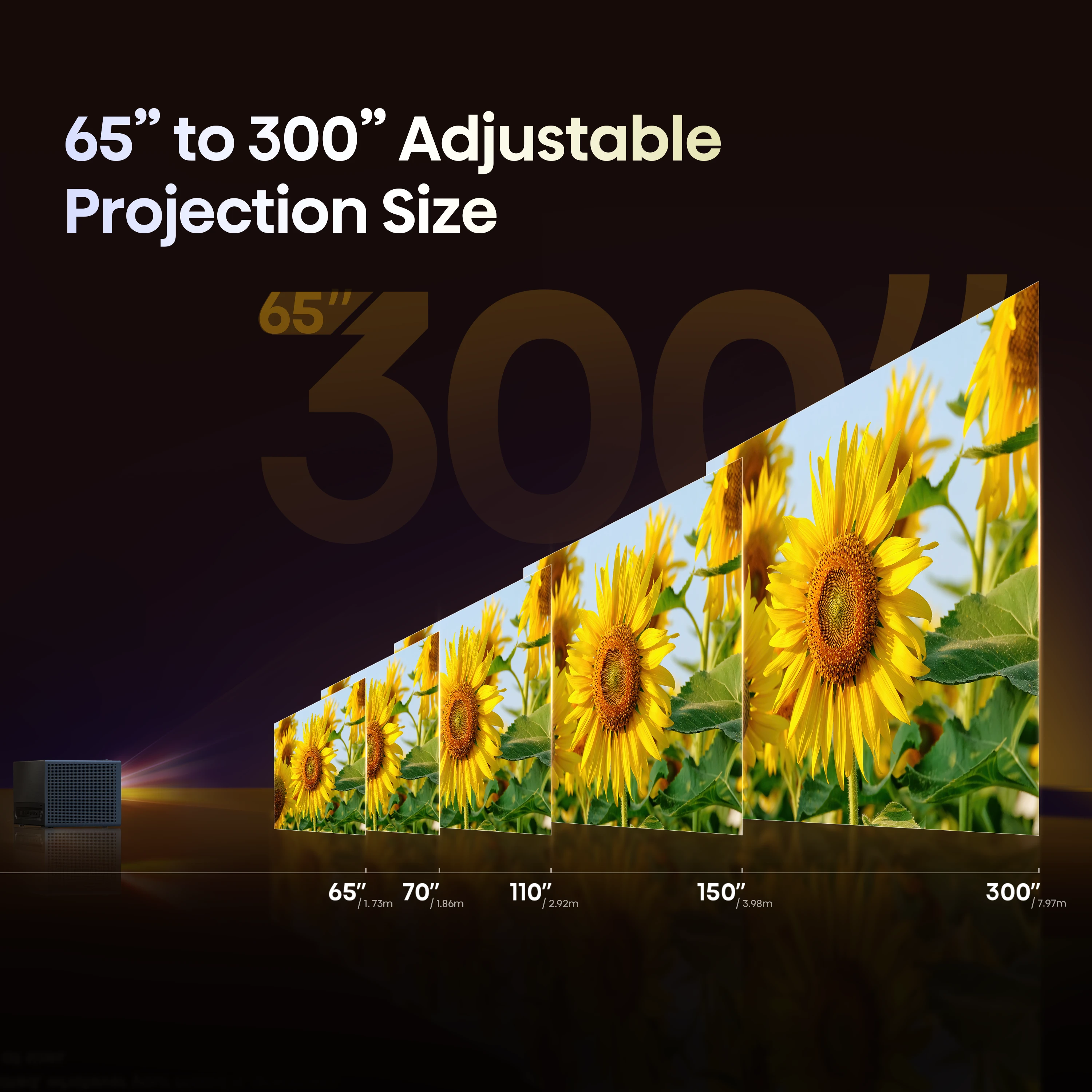 C1-2-65-300 Adjustable Projection Size.png